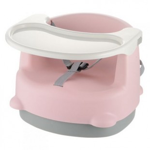 Richell Portable Baby Multi Seat - Pink